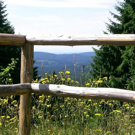 Apartamento Holiday Apartment Braunlage